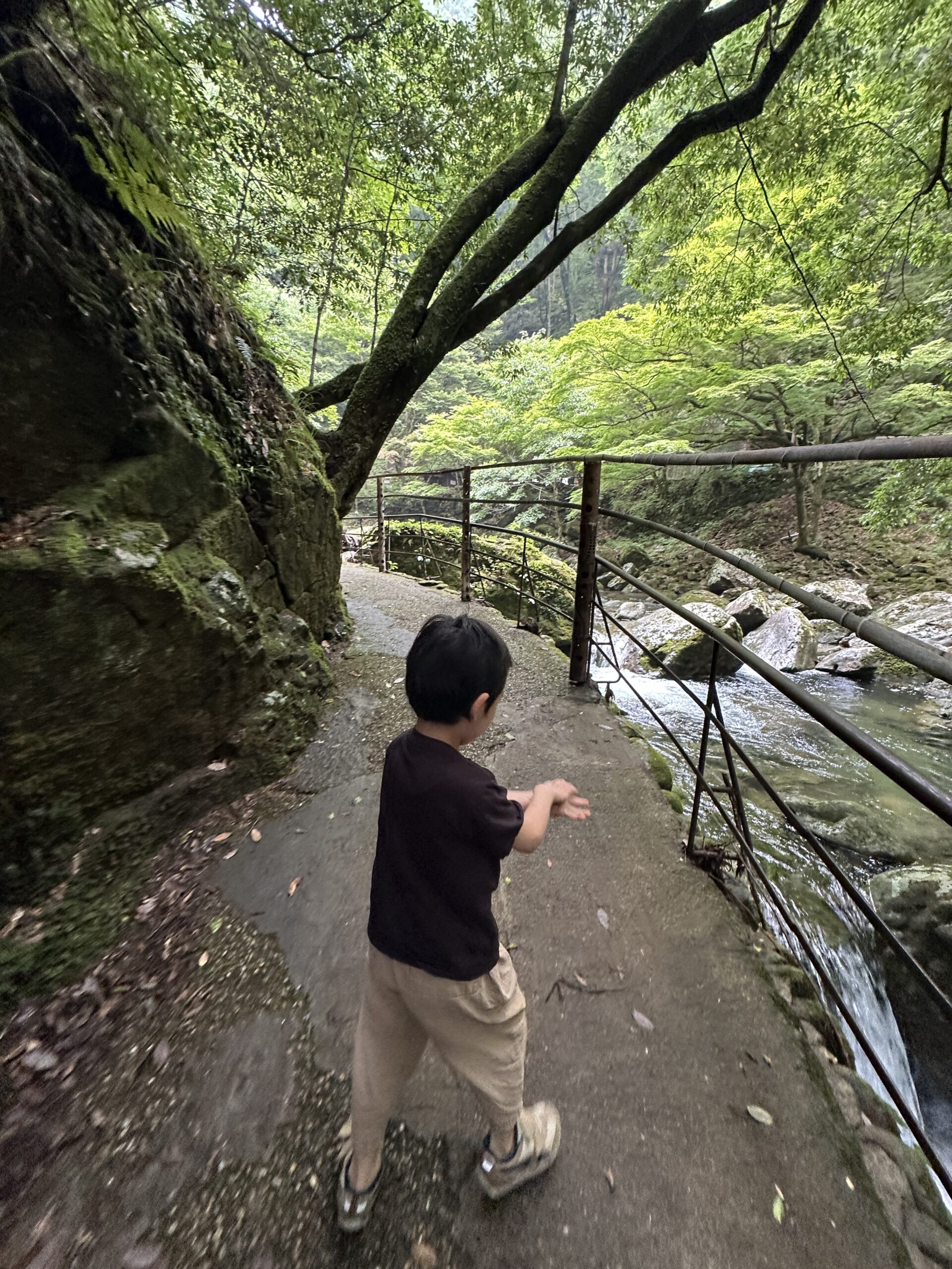 山道をぐいぐい上っていく長男くらげ