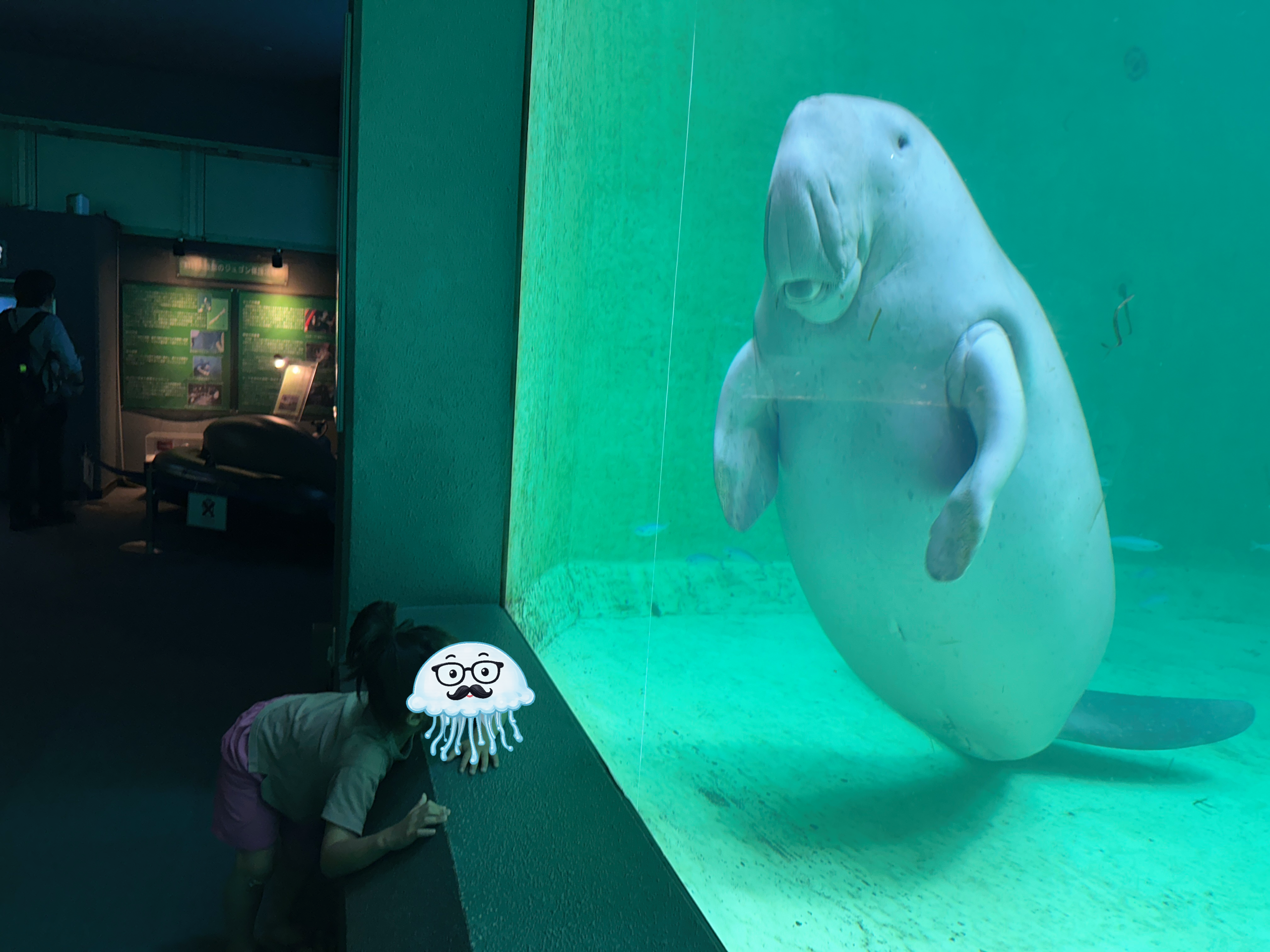 鳥羽水族館のジュゴンと次男くらげ