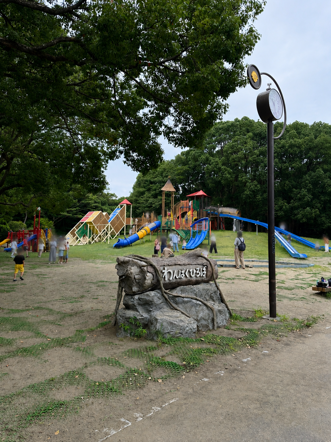 わんぱく広場の遊具全景